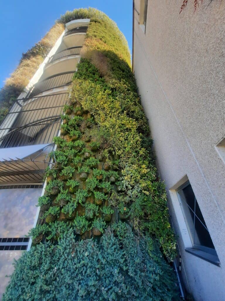 Green wall